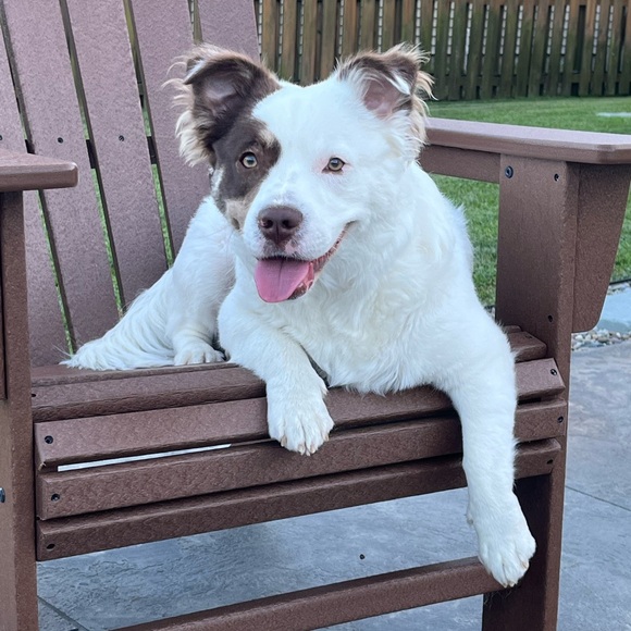 PLEASE READ - Picture 6 of 7